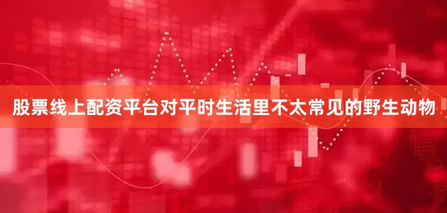 股票线上配资平台对平时生活里不太常见的野生动物