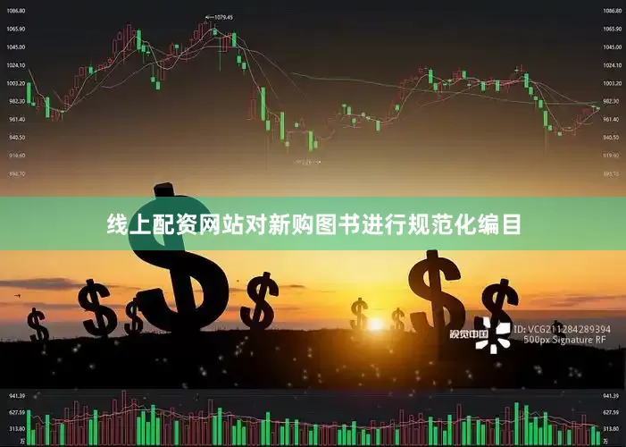 线上配资网站对新购图书进行规范化编目