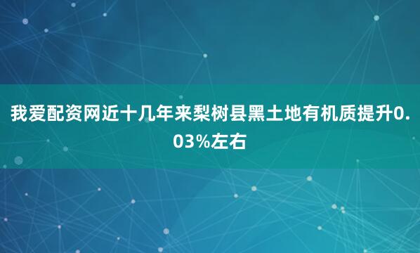 我爱配资网近十几年来梨树县黑土地有机质提升0.03%左右
