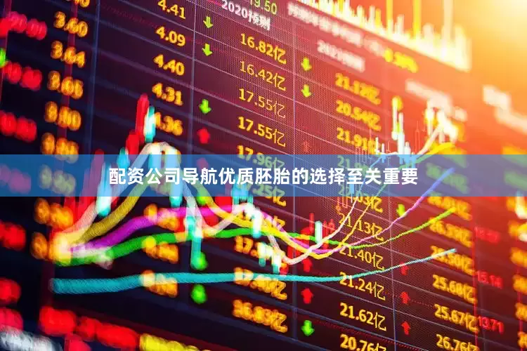 配资公司导航优质胚胎的选择至关重要