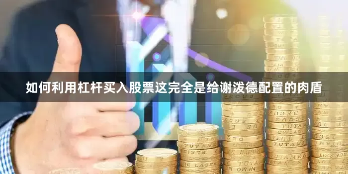 如何利用杠杆买入股票这完全是给谢泼德配置的肉盾
